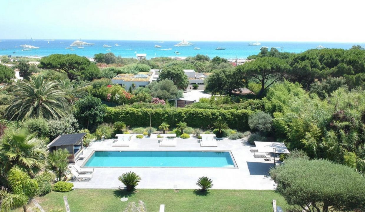 paraview (2)